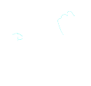 Guitar Solo